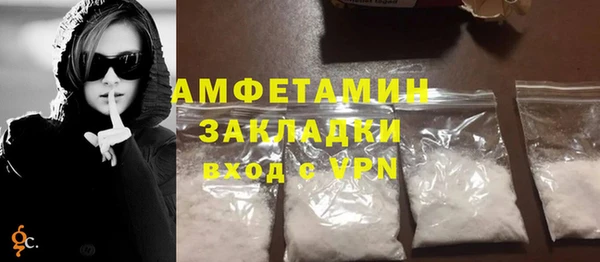 гидра Покачи