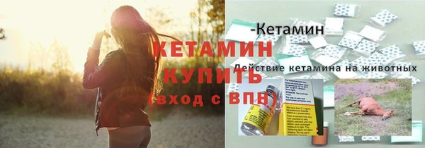 гидра Балахна