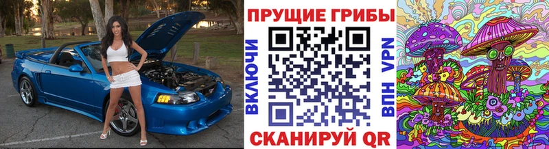 mega зеркало Вышний Волочёк Псилоцибиновые грибы Cubensis
